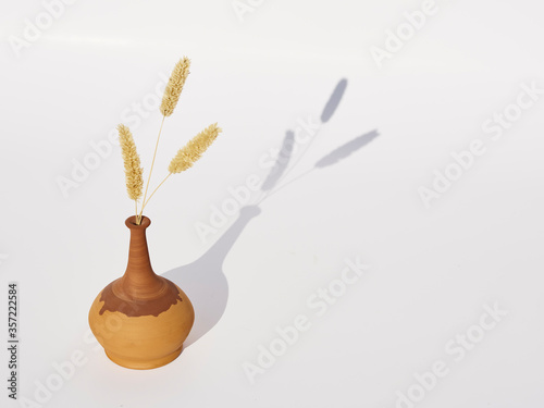 dry wheat in a clay vase on a white background photo