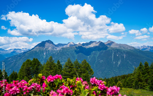 Panorama of beautiful countryside of Swiss Alps. Sunny afternoon. Wonderful springtime landscape in mountains. Grassy field and spring flowers. Rural scenery. © eskstock