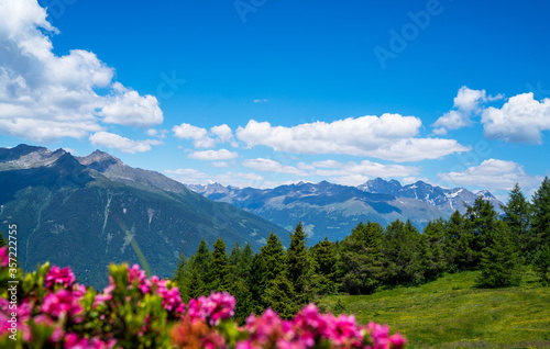 Fototapeta Naklejka Na Ścianę i Meble -  Panorama of beautiful countryside of Swiss Alps. Sunny afternoon. Wonderful springtime landscape in mountains. Grassy field and spring flowers. Rural scenery.