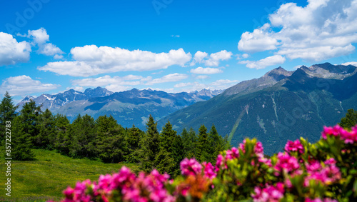 Panorama of beautiful countryside of Swiss Alps. Sunny afternoon. Wonderful springtime landscape in mountains. Grassy field and spring flowers. Rural scenery.