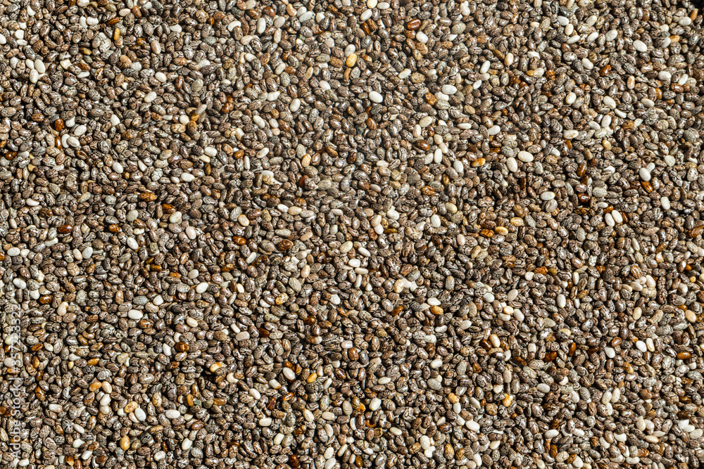 Chia Samen Chia Samen