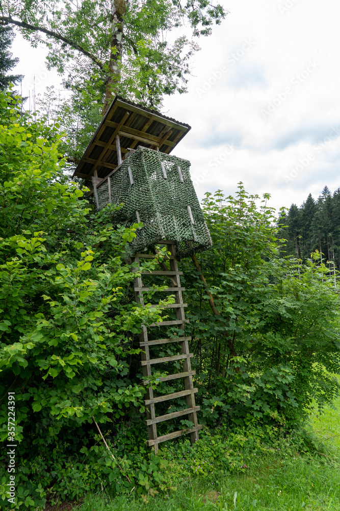 Schwarzwald bei Oberharmersbach Schwarzwald bei Oberharmersbach