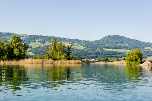 Rapperswil, Zürichsee, Obersee, Seeufer, Schilf, See, Seedamm, Holzsteg, Naturschutz, Oberer Zürichsee, Wasservögel, Jona, Schifffahrt, Hurden, Pfäffikon, Sommer, Schweiz