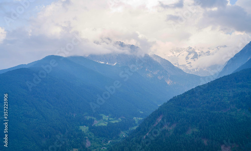 Beautiful nature background. Wonderful springtime landscape in mountains. Forested mountain slopes in low lying cloud with the evergreen conifers in a scenic landscape view.