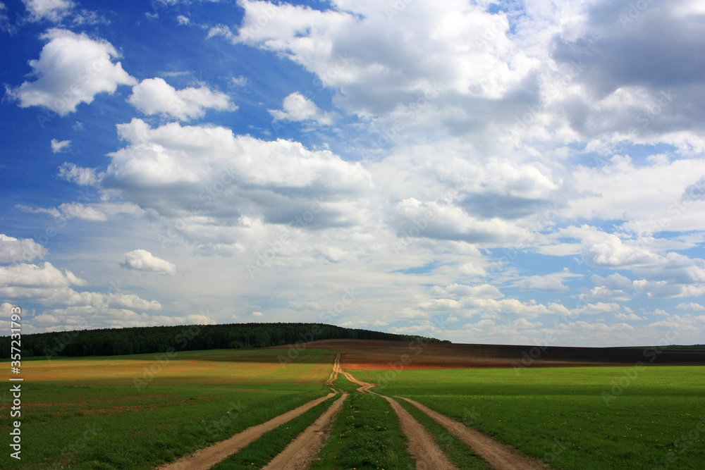 Fototapeta premium Clouds over a country road in a field