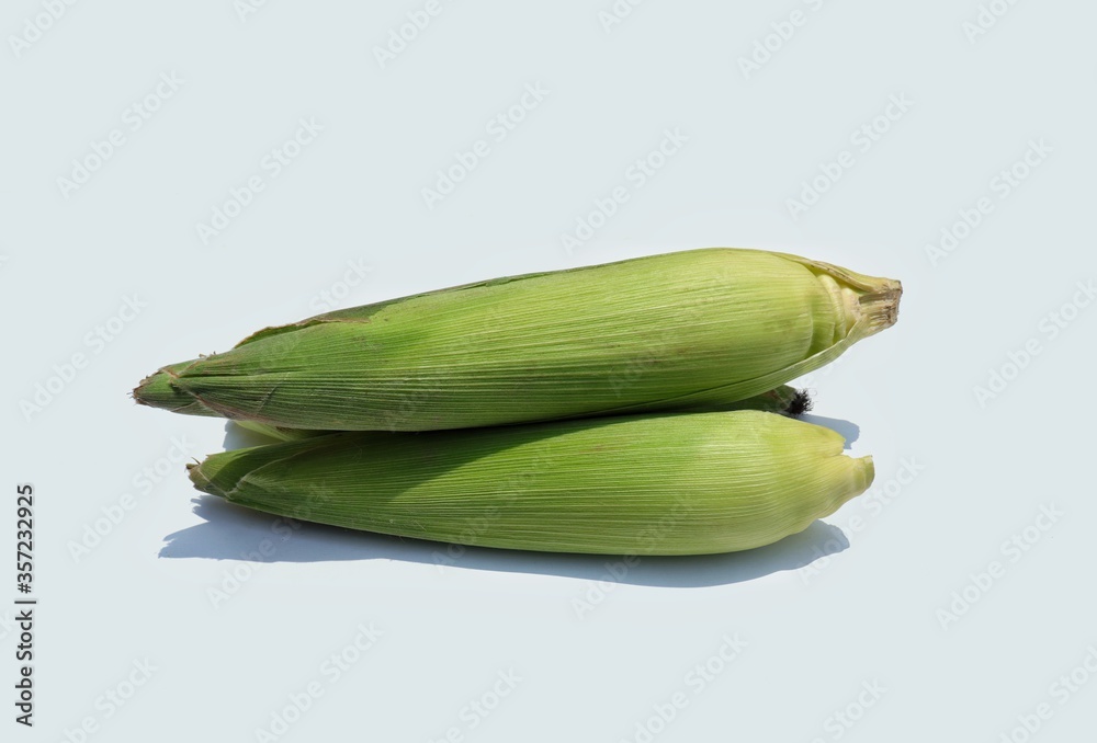 Harvested Maize or Corn Isolated on White Background in Horizontal Orientation Harvested Maize or Corn Isolated on White Background in Horizontal Orientation
