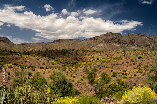 This is a view of the mountains, clouds, wildflowers, and the beautiful desert of the Burro Creek Wilderness area in Arizona.
