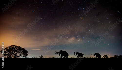 Amazing Panorama blue night sky milky way and star on dark background.Universe filled with star, nebula and galaxy with noise and grain. Over Light and selection focus.with Silhouette of the Elephant