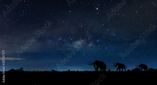 Amazing Panorama blue night sky milky way and star on dark background.Universe filled with star  nebula and galaxy with noise and grain. Over Light and selection focus.with Silhouette of the  Elephant