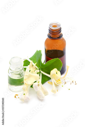 Lonicera caprifolium, honeysuckle flower essential oil (remedy, extract) bottle on white