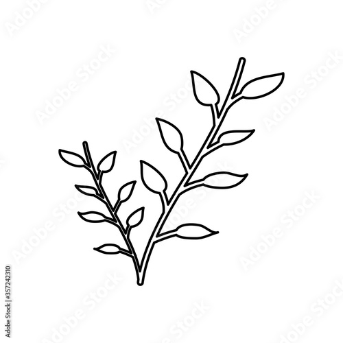 plant with leaves icon  line style