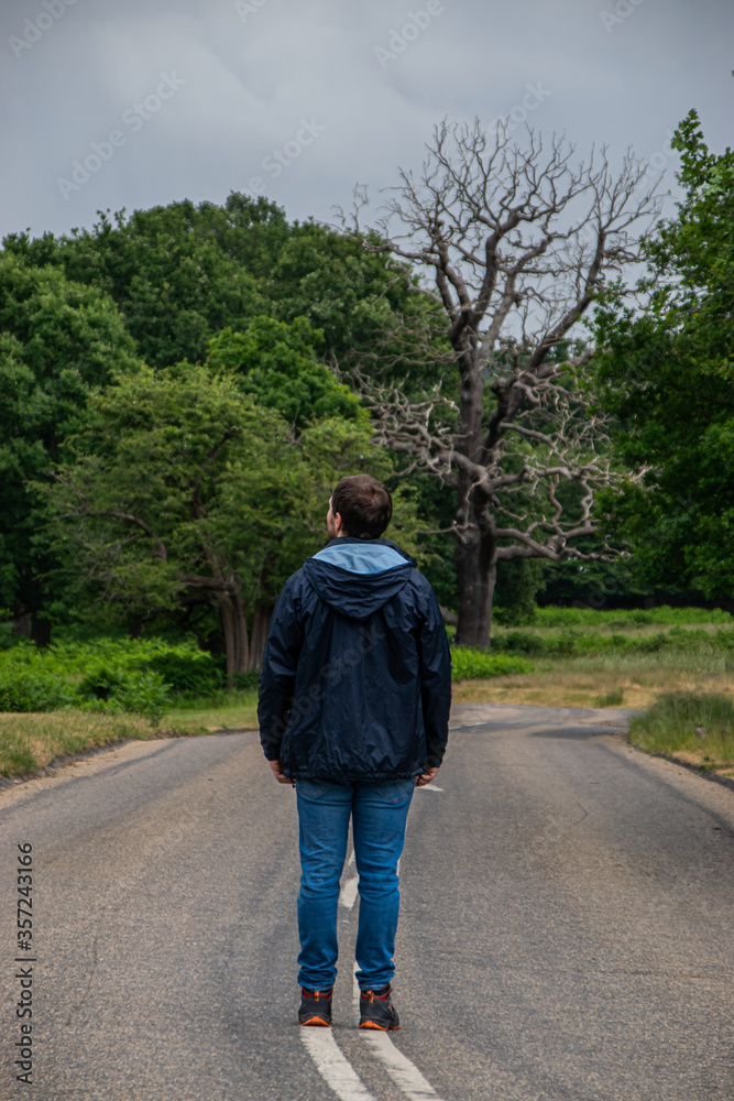 Photo of a young and attractive man walking in the middle of a road in the nature in RIchmon Park, London Photo of a young and attractive man walking in the middle of a road in the nature in RIchmon Park, London
