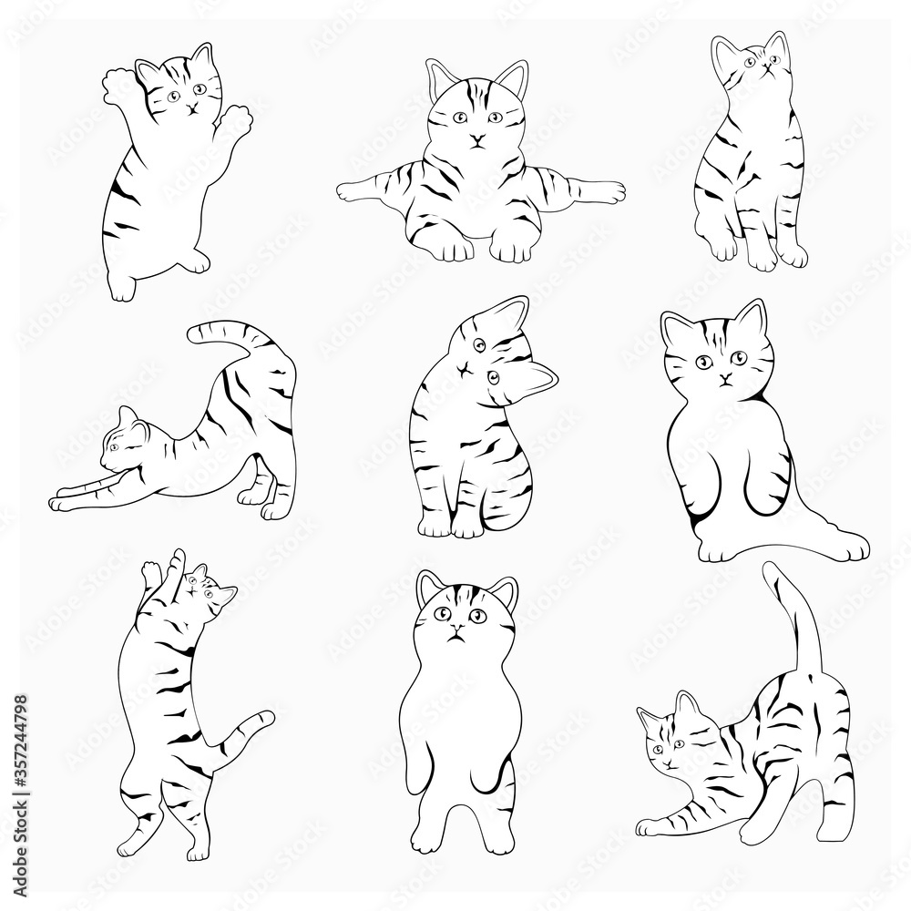 1 set of cute black and white vector cats