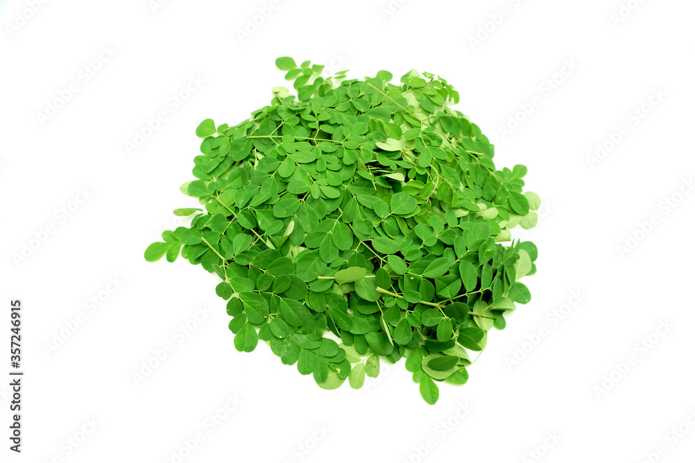 Obraz premium Moringa leaf isolated on white, super food for health.