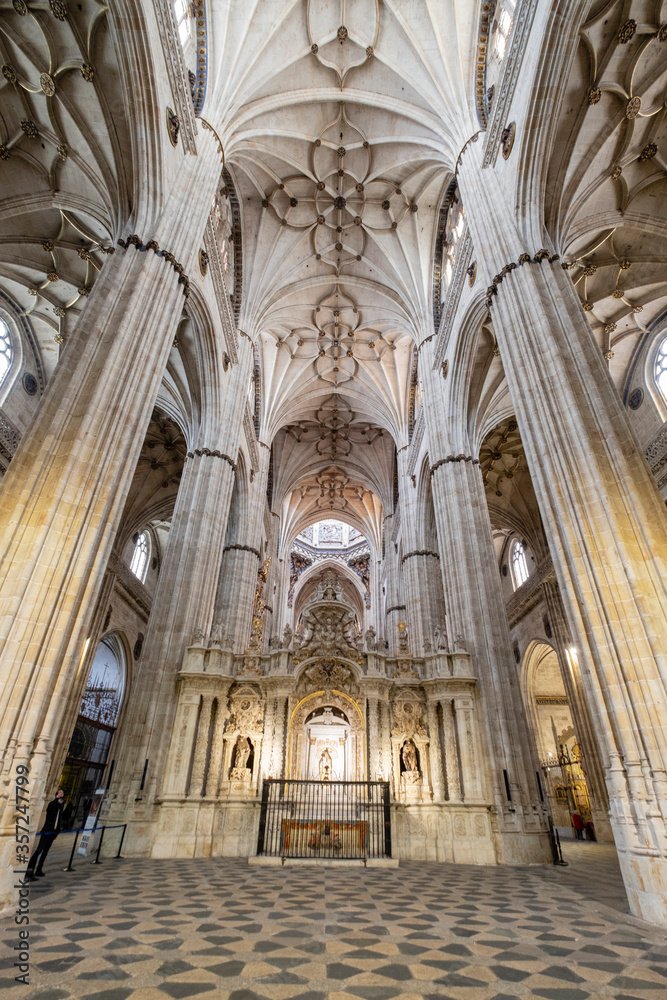 Catedral de la Asunción de la Virgen, Salamanca,  comunidad autónoma de Castilla y León, Spain
