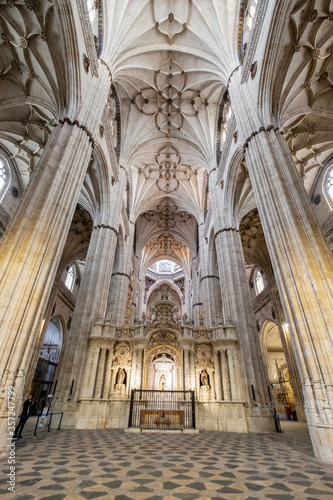 Catedral de la Asunci  n de la Virgen  Salamanca   comunidad aut  noma de Castilla y Le  n  Spain