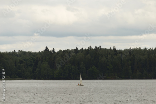 Lake in the forest