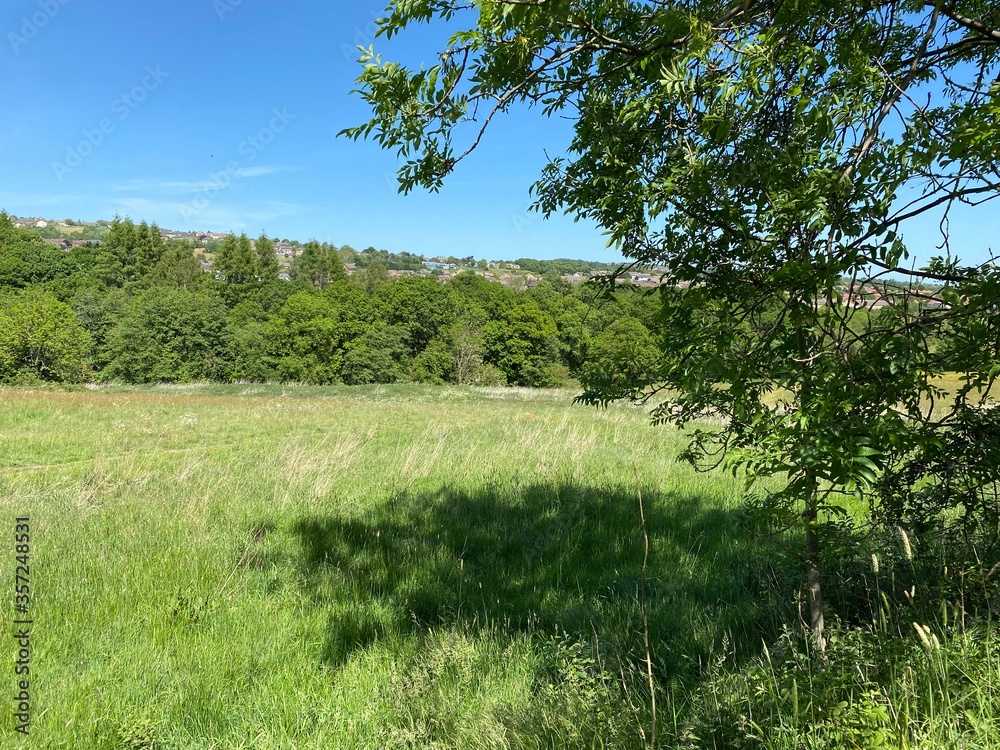 View of a meadow, with trees and houses on the horizon in, Allerton, Bradford, UK