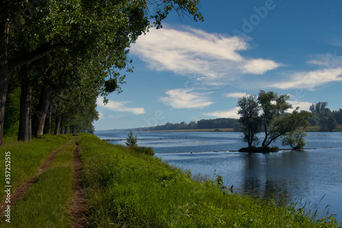 Rheinufer bei Gerstheim im Elsass © Tanja Voigt 