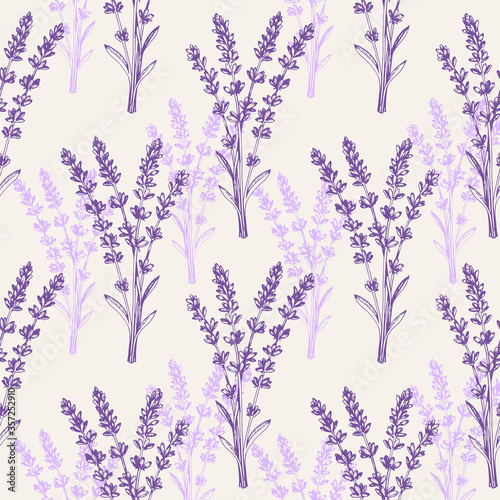 Vintage seamless pattern with lavender flowers.