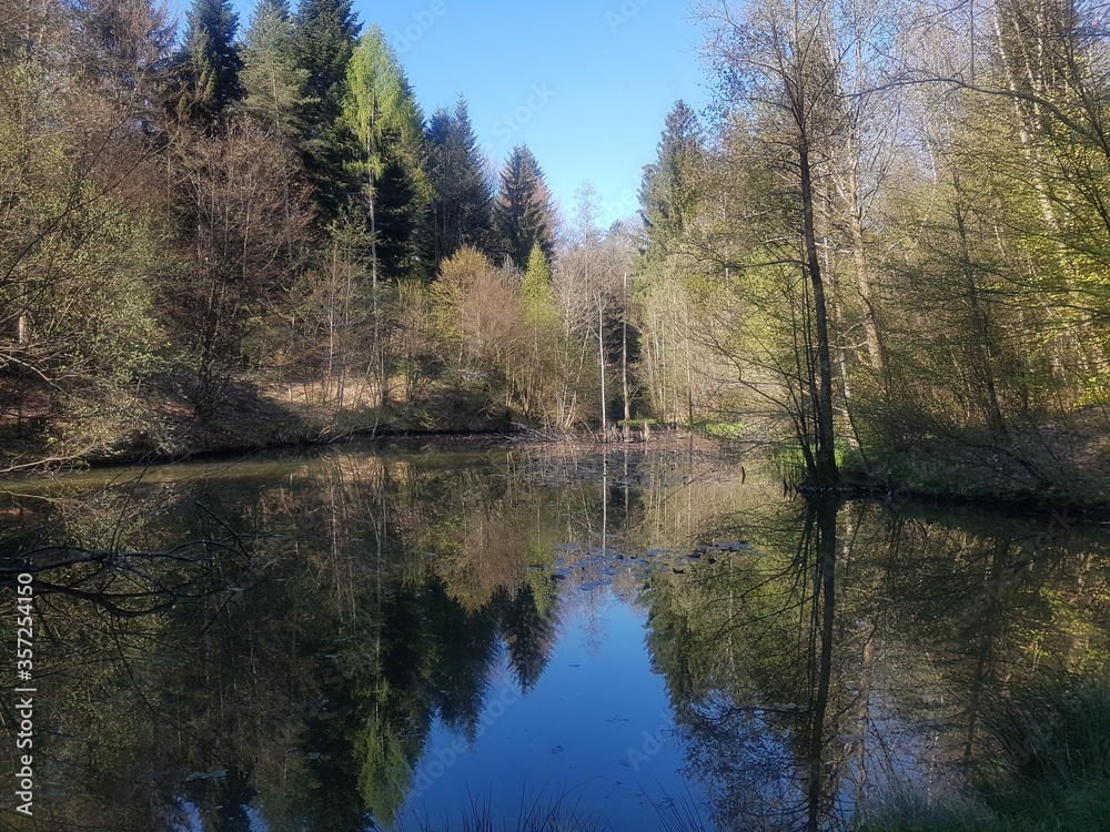 Obraz premium Nature Switzerland