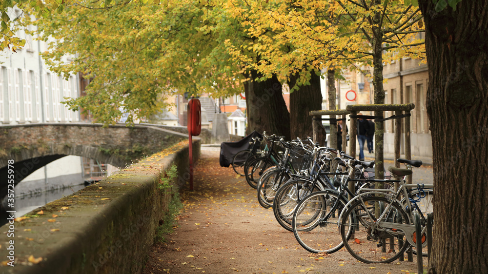 Peaceful scene of many bicycles parked sideways along the canal with colorful autumn tree in Bruges (Brugge), Belgium.