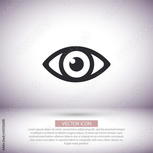 Eye vector icon , lorem ipsum Flat design