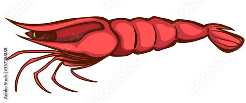 red shrimp logo vector illustration