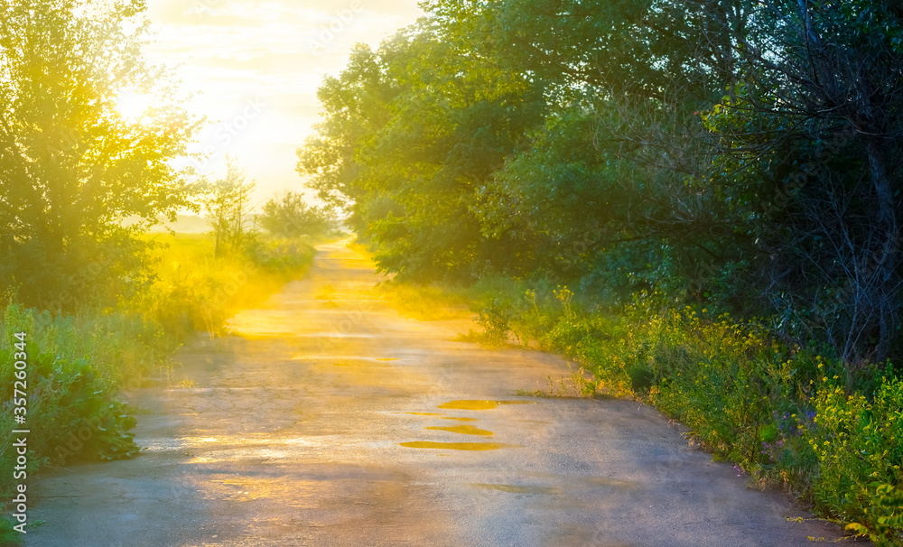 Obraz premium wet asphalt road after a rain at the sunset, outdoor background