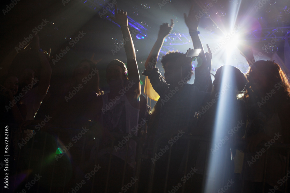 Spotlight above silhouette of crowd cheering at concert