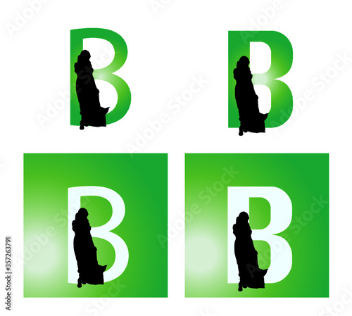 Buchstabe B, Silhouette