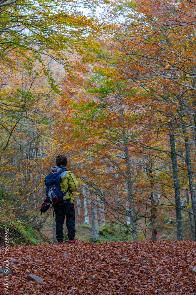 Full length rear view of boy hiking in forest Full length rear view of boy hiking in forest