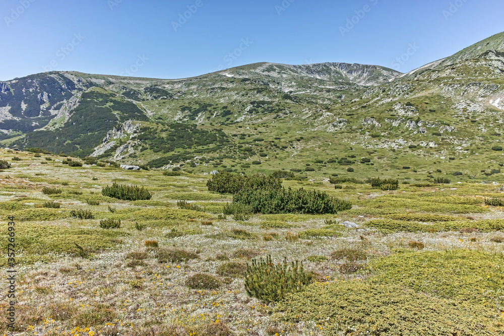 Panorama around Belmeken peak, Rila mountain