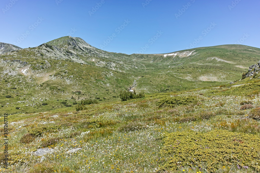 Panorama around Belmeken peak, Rila mountain