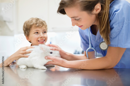 Vet examining rabbit with boy