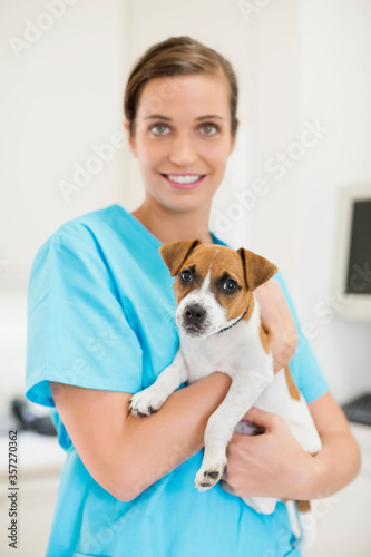 Veterinarian holding dog in vet's surgery © Robert Daly/KOTO