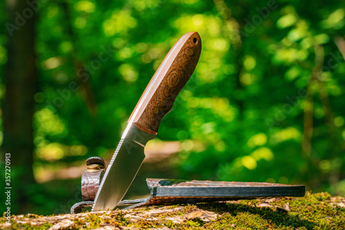 Cuadro en lienzo Hunting knife on a stump in a forest camp