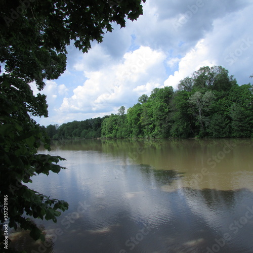 lake in the forest