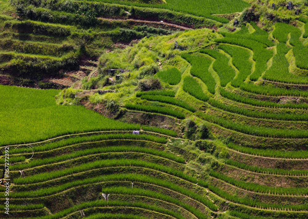Longji rice terraces in China
