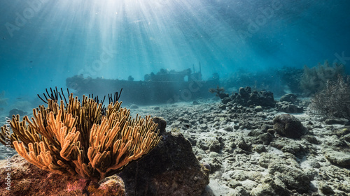 Fotografie Ship wreck Tugboat in  shallow water of coral reef in Caribbean sea / Curacao