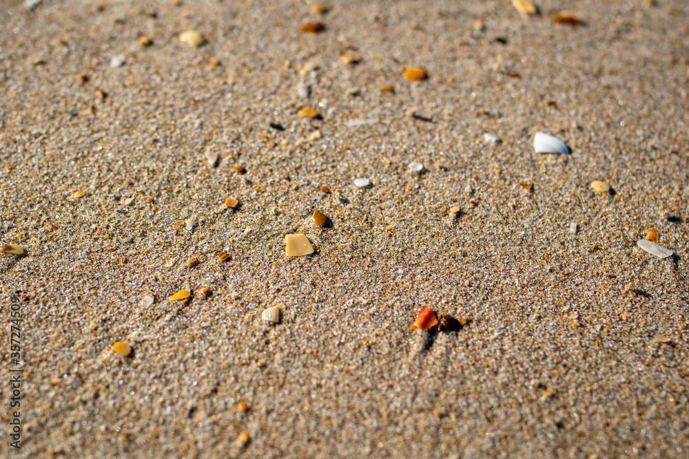 Sand texture and background.Sand on the beach in the background.Sand texture. Sandy beach for black background.Sand of a beach in summer.Macro shot.Copy space Sand texture and background.Sand on the beach in the background.Sand texture. Sandy beach for black background.Sand of a beach in summer.Macro shot.Copy space