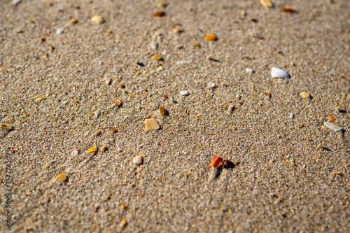 Sand texture and background.Sand on the beach in the background.Sand texture. Sandy beach for black background.Sand of a beach in summer.Macro shot.Copy space