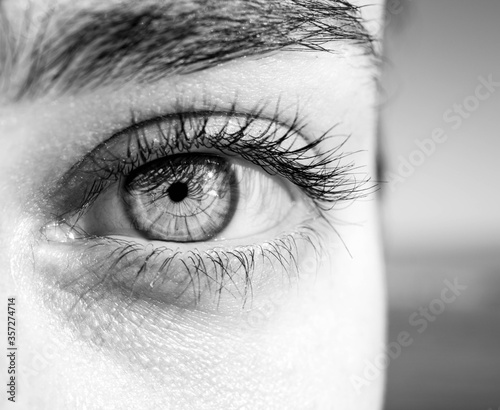 macro photography of a female eye. Human eye texture. eye pupil. Human eyelashes. Brown eye close-up. Eye background. Black and White