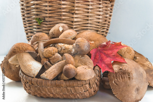 Mushrooms in the old wicker basket