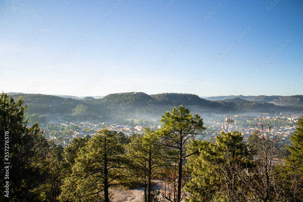 Bosque de creel en Sierra tarahumara