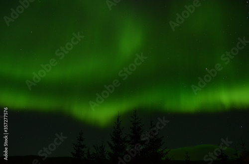 amazing aurora borealis dancing on star filled autumn night sky over spruce trees