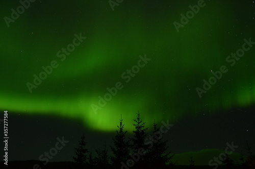 amazing aurora borealis dancing on star filled autumn night sky over spruce trees