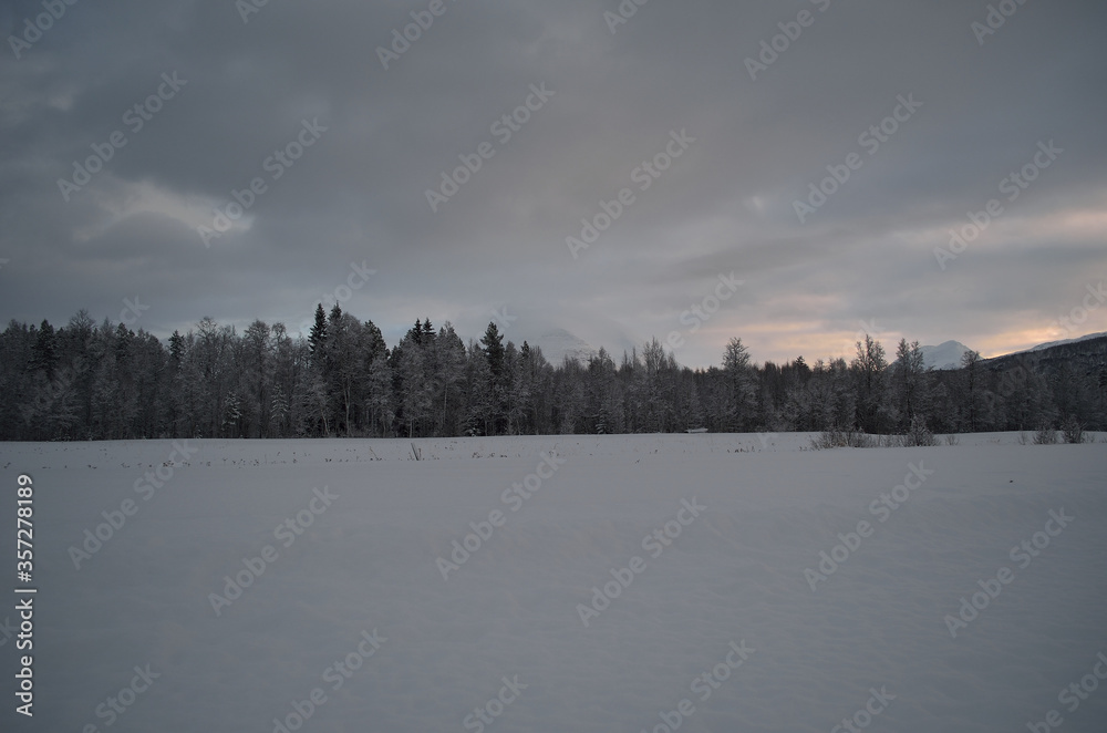 Fototapeta premium pink dawn sky over frost ice and snowy winter forest and field landscape