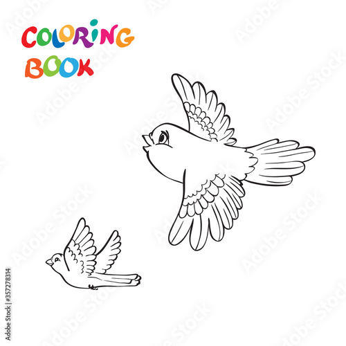 coloring book with two flying birds