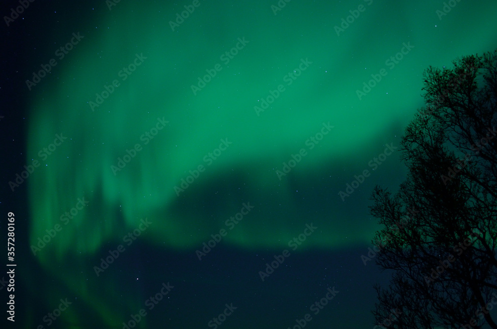 fantastic strong aurora borealis over cold fjord and mountain fantastic strong aurora borealis over cold fjord and mountain